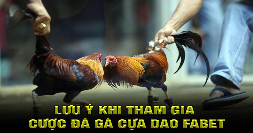 Lưu ý khi tham gia cược đá gà cựa dao Fabet